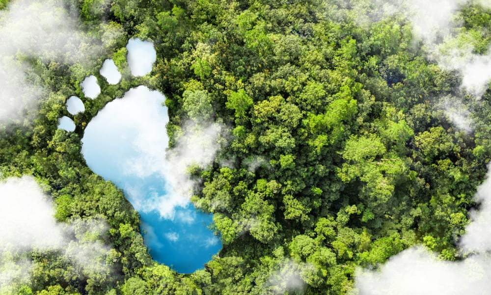 Como a energia solar reduz a pegada de carbono